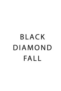Joseph Olshan — Black Diamond Fall