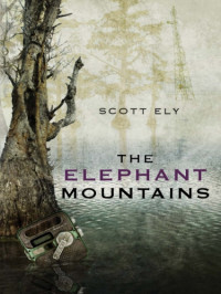 Ely Scott — The Elephant Mountains