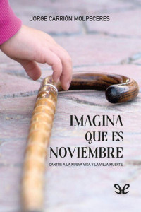 Jorge Carrión Molpeceres — Imagina que es noviembre
