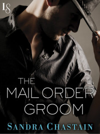 Sandra Chastain — The Mail Order Groom: A Novel