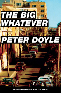Doyle Peter — The Big Whatever