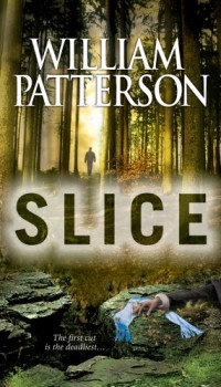 Patterson William — Slice