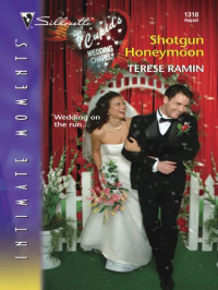 Ramin Terese — Shotgun Honeymoon