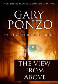 Ponzo Gary — The View from Above