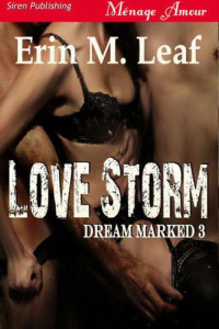 Leaf, Erin M — Love Storm
