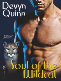 Quinn Devyn — Soul of the Wildcat