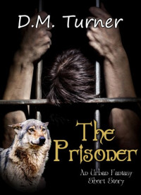 D. M. Turner — The Prisoner