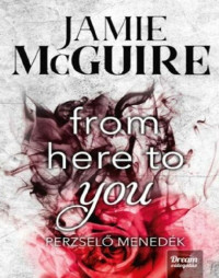 Jamie McGuire — From Here to You