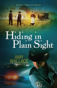 Wallace Amy — Hiding in Plain Sight