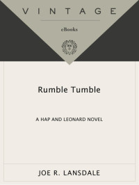 Joe R. Lansdale — Rumble Tumble