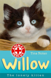 Nolan Tina — Willow the lonely kitten