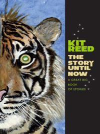 Reed Kit — The Story Until Now