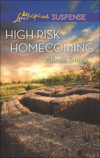 Alison Stone — High-Risk Homecoming