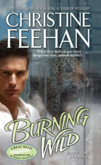 Feehan Christine — Burning Wild
