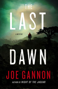Gannon Joe — The Last Dawn: A Mystery