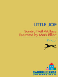 Wallace, Sandra Neil — Little Joe