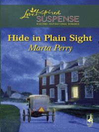 Perry Marta — Hide In Plain Sight