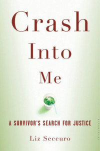 Seccuro Liz — Crash Into Me- A Survivor's Search for Justice