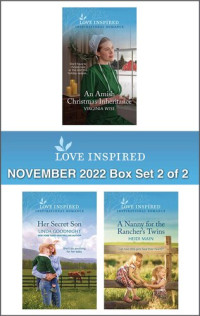 Virginia Wise; Linda Goodnight; Heidi Main — Love Inspired November: 2022 Box Set 2 of 2