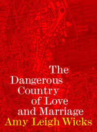 Amy Leigh Wicks — The Dangerous Country of Love and Marriage