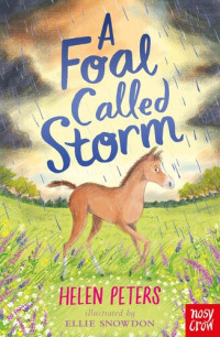 Helen Peters — A Foal Called Storm