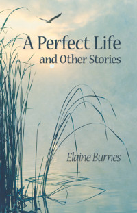 Burnes Elaine — A Perfect Life nd Other Stories