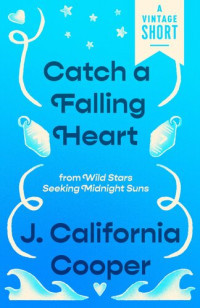 J. California Cooper — Catch a Falling Heart: from Wild Stars Seeking Midnight Suns