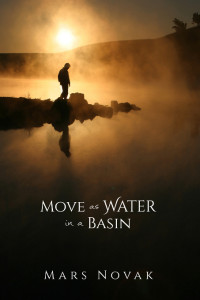 Novak Mars — Move as Water in a Basin