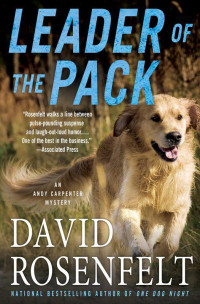 Rosenfelt David — Leader of the Pack