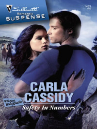 Cassidy Carla — Safety In Numbers