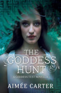 Aimee Carter — the Goddess Hunt