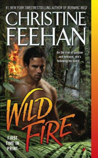 Feehan Christine — Wild Fire