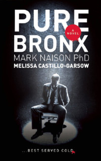 Mark Naison; Melissa Castillo-Garsow — Pure Bronx