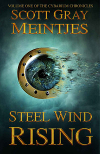 Meintjes, Scott Gray — Steel Wind Rising