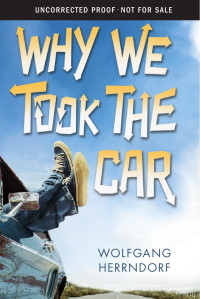 Herrndorf Wolfgang — Why We Took the Car