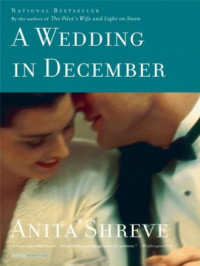 Shreve Anita — A Wedding In December