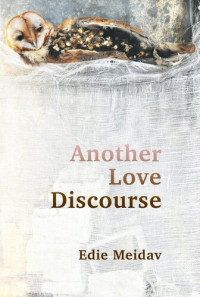 Edie Meidav — Another Love Discourse