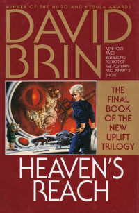 Brin David — Heaven's Reach