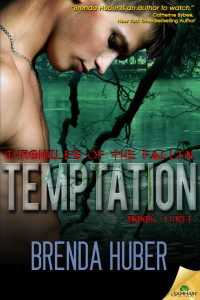 Huber Brenda — Temptation