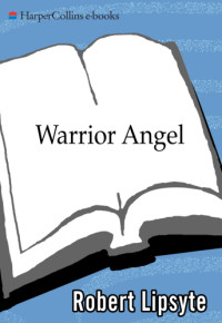 Lipsyte Robert — Warrior Angel