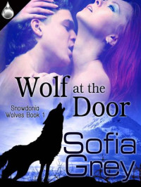 Grey Sofia — Wolf At the Door