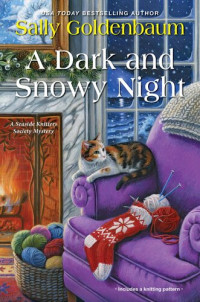Sally Goldenbaum — A Dark and Snowy Night