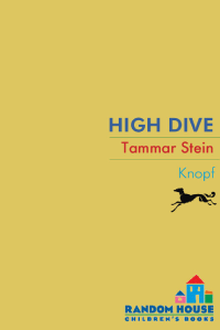 Stein Tammar — High Dive
