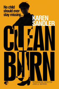 Sandler Karen — Clean Burn