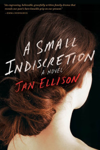 Ellison Jan — A Small Indiscretion