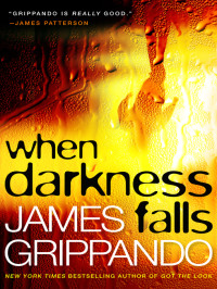 Grippando James — When Darkness Falls