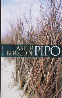 Berkhof Aster — Pipo