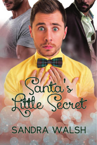 Walsh Sandra — Santas Little Secret