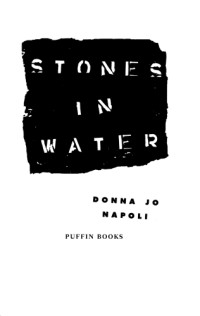 Napoli, Donna Jo — Stones in Water