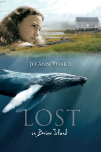 Yhard, Jo Ann — Lost on Brier Island